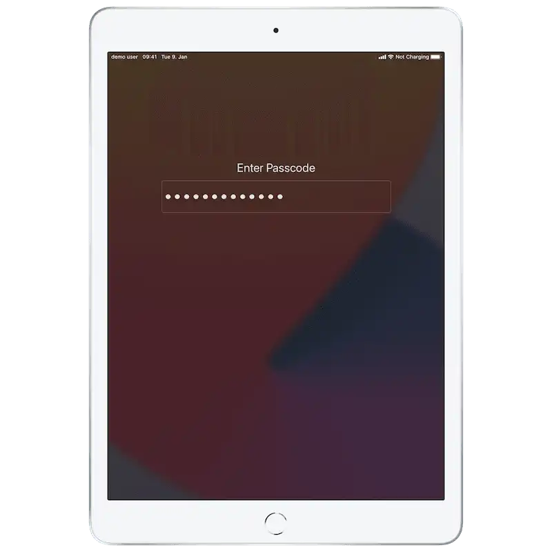 Schermo dell’iPad con una maschera di input per inserire un codice per accedere con un ID Apple gestito