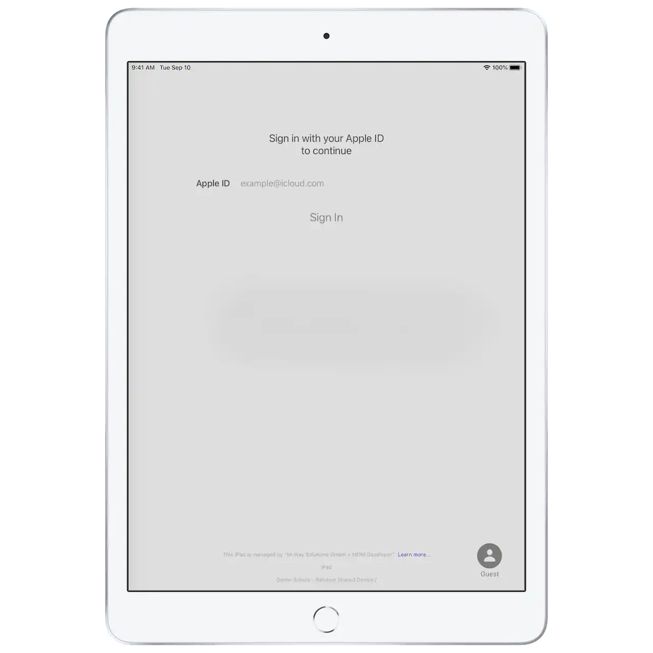 Ilustración de una pantalla de iPad que solicita al usuario ingresar un ID de Apple para continuar con el inicio de sesió