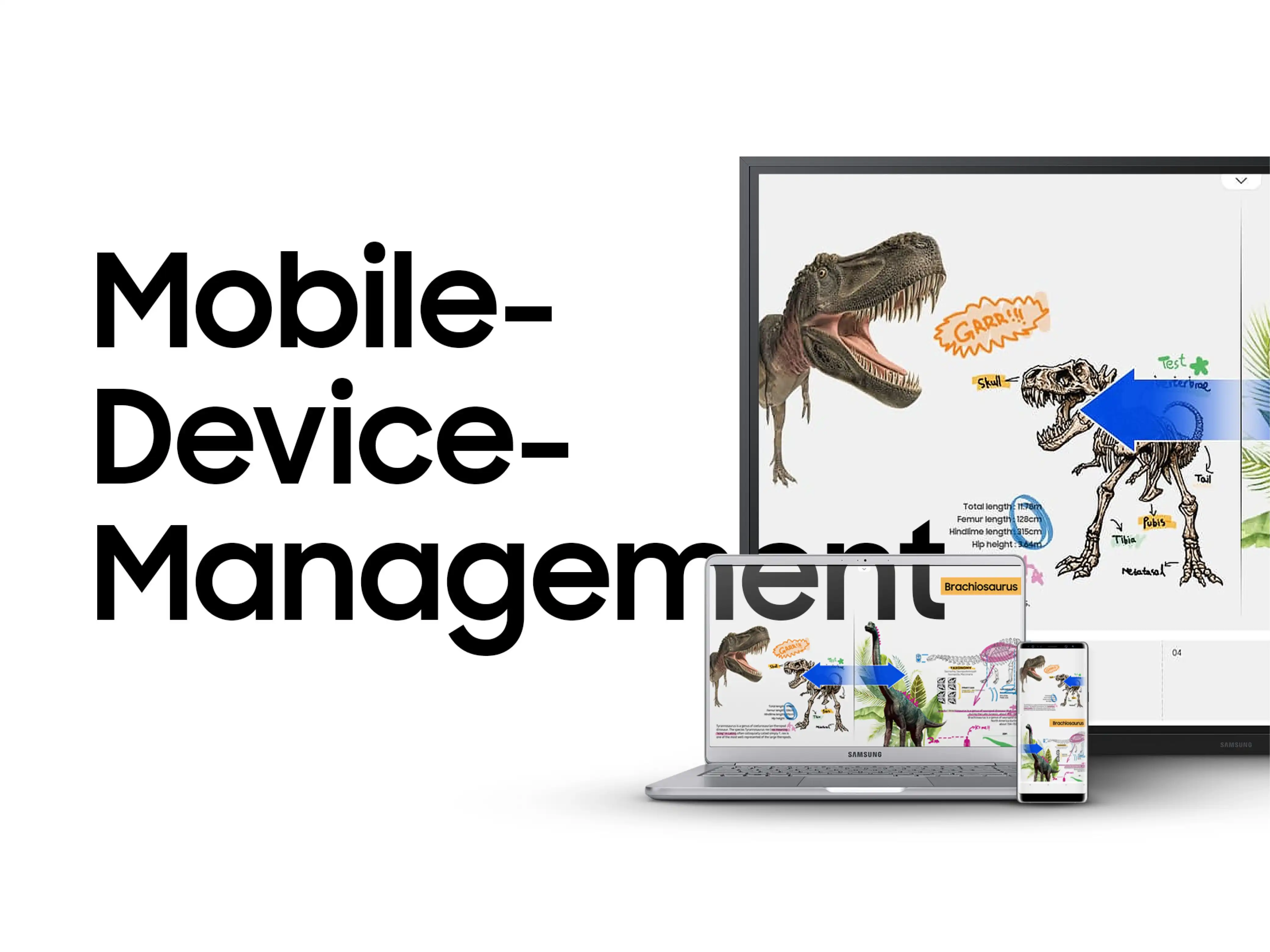 Verschiedene mobile Endgeräte des Herstellers Samsung sind neben einem Schriftzug mit Mobile-Device-Management gruppiert
