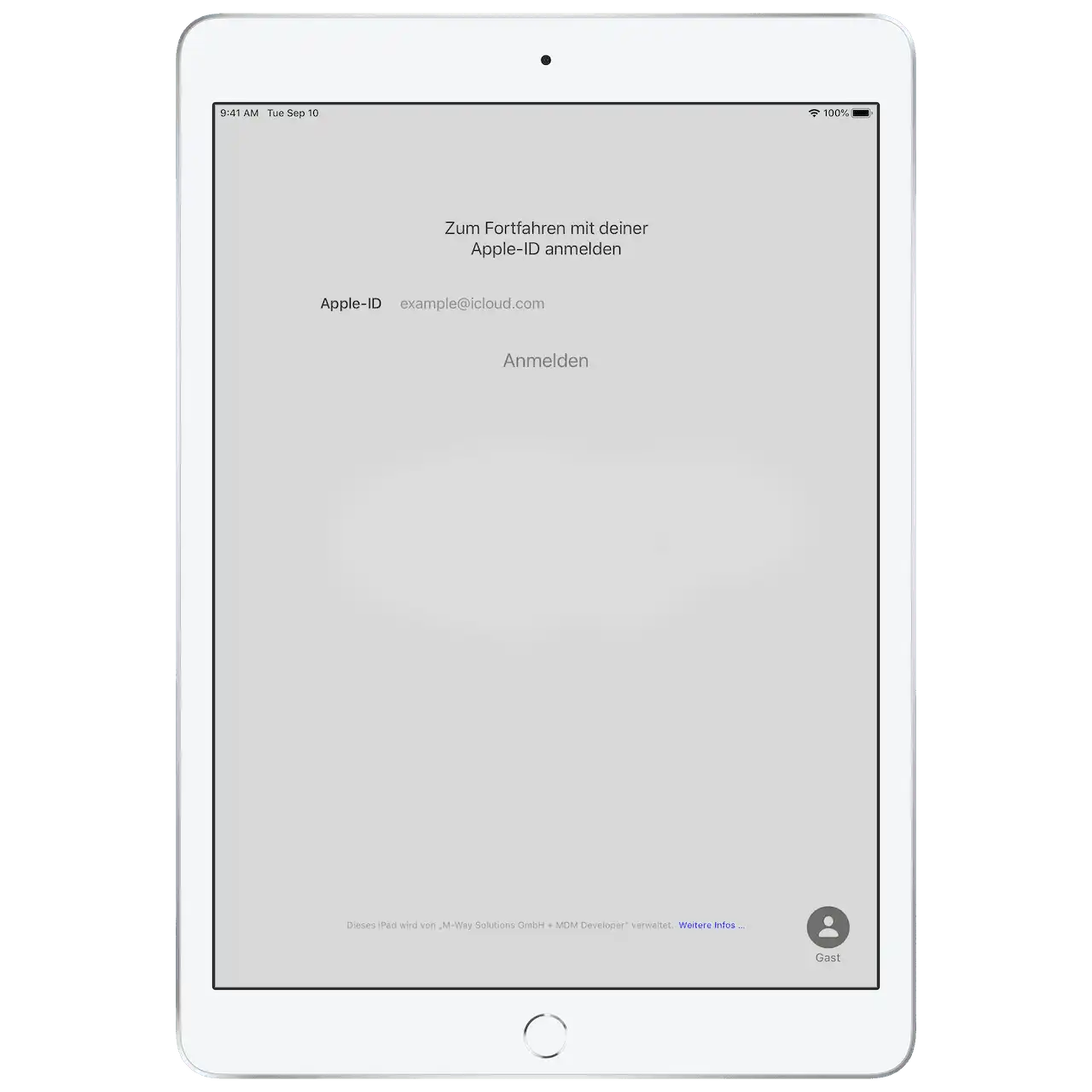 Abbildung eines iPad-Bildschirms, der zur Eingabe einer Apple ID auffordert, um die Anmeldung fortzusetzen