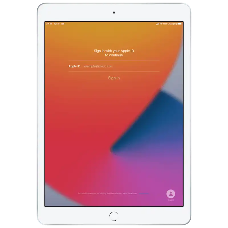 Schermo di iPad con la maschera di accesso per inserire l’ID Apple gestito e la password corrispondente utilizzati per l’accesso utente dopo la registrazione in Apple School Manager