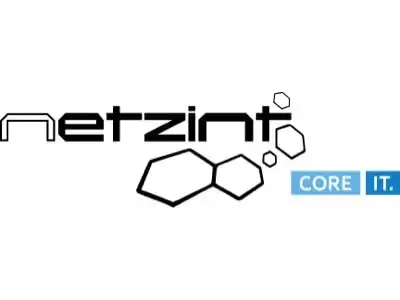 Logotipo de Netzint GmbH